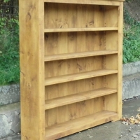 Bookcase with wide movable shelves